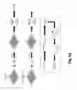 Fig. 70 - SENECA VALLEY VIRUS BASED COMPOSITIONS AND METHODS FOR TREATING DISEASE