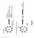 Fig. 74 - SENECA VALLEY VIRUS BASED COMPOSITIONS AND METHODS FOR TREATING DISEASE