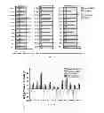 Fig. 08 - Compositions and methods for obtaining cells to treat heart tissue