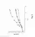 Fig. 06 - PROCESS FOR THE PREPARATION OF A BIOMASS COMPRISING PLANTARICIN AND USES THEREOF IN MEDICAL FIELD