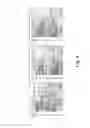 Fig. 07 - PROCESS FOR THE PREPARATION OF A BIOMASS COMPRISING PLANTARICIN AND USES THEREOF IN MEDICAL FIELD