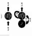 Fig. 02 - COMPOSITIONS AND METHODS FOR GENERATING INTERLEUKIN-35-INDUCED REGULATORY T CELLS