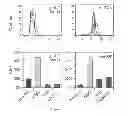 Fig. 07 - Inhibitors of T-cell activation