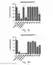 Fig. 09 - Methods and antibodies for treating cancer