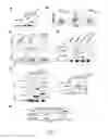 Fig. 03 - Method of treating and reducing the risk of acute myelogenous leukemia