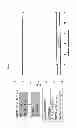 Fig. 07 - Ion exchange membrane chromatography