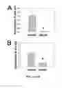 Fig. 06 - METHODS OF TREATING RICKETTSIA USING EXCHANGE PROTEINS DIRECTLY ACTIVATED BY CAMP (EPACS) INHIBITORS