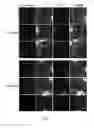Fig. 07 - METHODS OF TREATING RICKETTSIA USING EXCHANGE PROTEINS DIRECTLY ACTIVATED BY CAMP (EPACS) INHIBITORS