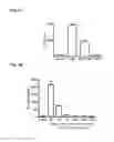 Fig. 07 - Compositions, methods and uses for alpha-1 antitrypsin fusion molecules
