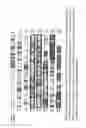 Fig. 02 - CMV ANTIGENS AND USES THEREOF