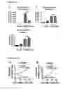 Fig. 04 - Compositions and methods for treating and preventing neointimal stenosis