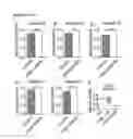 Fig. 06 - Compositions and methods for treating and preventing neointimal stenosis