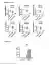 Fig. 07 - Compositions and methods for treating and preventing neointimal stenosis