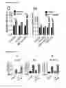 Fig. 09 - Compositions and methods for treating and preventing neointimal stenosis