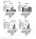 Fig. 20 - Compositions and methods for treating and preventing neointimal stenosis
