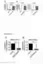 Fig. 22 - Compositions and methods for treating and preventing neointimal stenosis