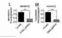 Fig. 23 - Compositions and methods for treating and preventing neointimal stenosis