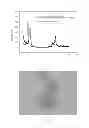 Fig. 02 - ACTIVE NANOCOMPOSITE MATERIALS AND PRODUCTION METHOD THEREOF