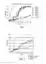 Fig. 02 - RNAi for the control of insects and arachnids