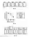 Fig. 11 - TCL1 peptides for immunotherapy