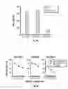 Fig. 13 - TCL1 peptides for immunotherapy