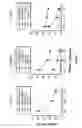 Fig. 15 - TCL1 peptides for immunotherapy