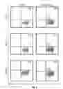 Fig. 17 - TCL1 peptides for immunotherapy