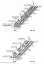Fig. 23 - TCL1 peptides for immunotherapy