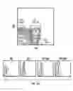 Fig. 24 - TCL1 peptides for immunotherapy