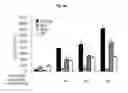 Fig. 07 - Immunostimulatory compositions comprising liposome-encapsulated oligonucleotides and epitopes