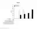 Fig. 16 - Immunostimulatory compositions comprising liposome-encapsulated oligonucleotides and epitopes