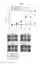 Fig. 18 - Immunostimulatory compositions comprising liposome-encapsulated oligonucleotides and epitopes