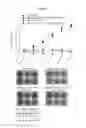 Fig. 20 - Immunostimulatory compositions comprising liposome-encapsulated oligonucleotides and epitopes