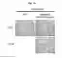 Fig. 32 - Immunostimulatory compositions comprising liposome-encapsulated oligonucleotides and epitopes