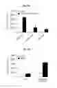 Fig. 46 - Immunostimulatory compositions comprising liposome-encapsulated oligonucleotides and epitopes