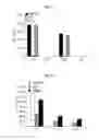 Fig. 49 - Immunostimulatory compositions comprising liposome-encapsulated oligonucleotides and epitopes
