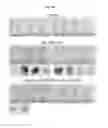 Fig. 61 - Immunostimulatory compositions comprising liposome-encapsulated oligonucleotides and epitopes