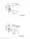 Fig. 06 - FORMULATION AND METHOD FOR INCREASING ORAL BIOAVAILABILITY OF DRUGS