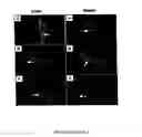Fig. 20 - Mesenchymal precursor cell