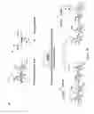 Fig. 03 - Amniotic membrane hydrogel and methods of making