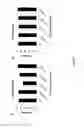 Fig. 04 - Amniotic membrane hydrogel and methods of making