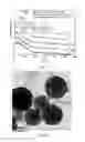 Fig. 04 - METHOD FOR MANUFACTURING BIOACTIVE GLASS AND BIOACTIVE GLASS
