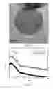 Fig. 07 - METHOD FOR MANUFACTURING BIOACTIVE GLASS AND BIOACTIVE GLASS
