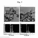 Fig. 09 - METHODS FOR CONTROLLING HEAT GENERATION OF MAGNETIC NANOPARTICLES AND HEAT GENERATING NANOMATERIALS