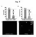 Fig. 10 - METHODS FOR CONTROLLING HEAT GENERATION OF MAGNETIC NANOPARTICLES AND HEAT GENERATING NANOMATERIALS