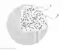 Fig. 01 - METHOD FOR MANUFACTURING MULTICORE GELATIN MICROCAPSULE
