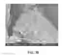Fig. 35 - Processing biomass