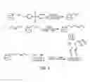 Fig. 02 - Beta-cyclodextrin immobilized on glass and cholesterol removal using the same