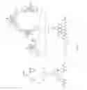 Fig. 02 - DTPA DERIVATIVE, METAL COMPLEX, MR AND CT CONTRAST AGENT AND METHOD FOR MANUFACTURING SAME