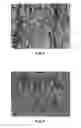 Fig. 07 - Thermally conductive sheet and process for producing same